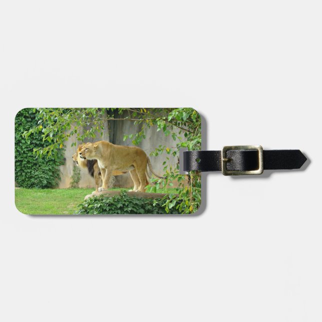 Lion Lioness Luggage Tag (Front Horizontal)