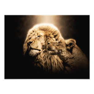 Lion Lionne Animal Sauvage Safari Afrique Jungle M Photo Print