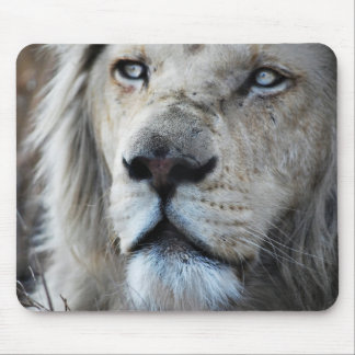 Lion listens to my heartbeat Africa Mouse Pad