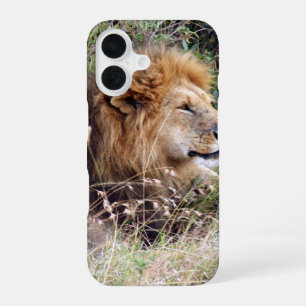 lion looks iPhone 16 case