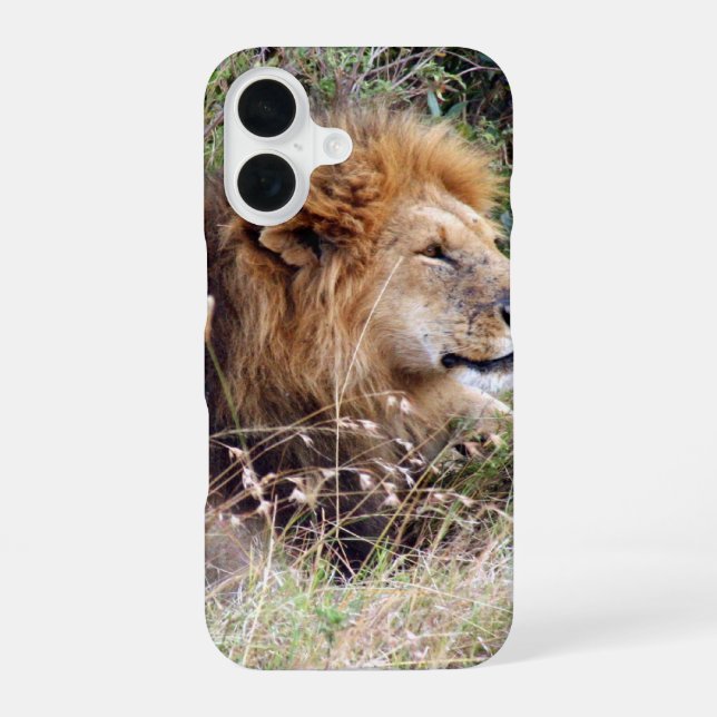 lion looks iPhone 16 case (Back)