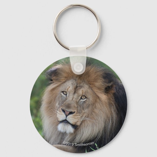 Lion Lounging in a Forest Keychain (Front)