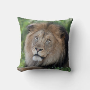 Lion Lounging in a Forest Throw Pillow