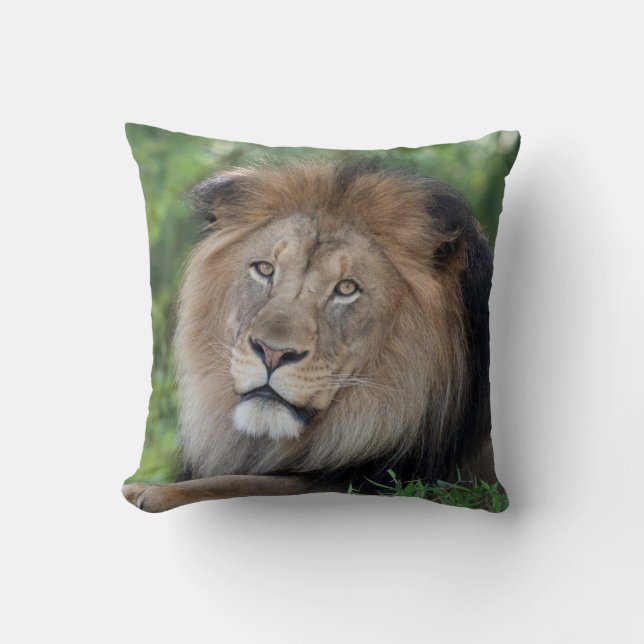 Lion Lounging in a Forest Throw Pillow (Front)