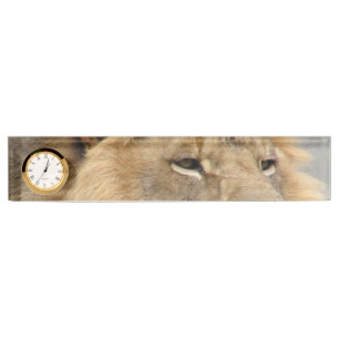 Lion Lovers Art Nameplate