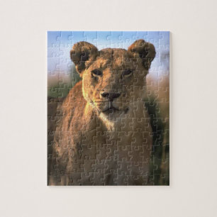 Lion Lovers Female Lioness Jigsaw Puzzle