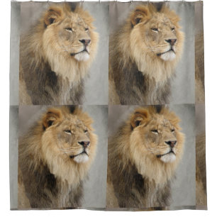 Lion Lovers Jungle