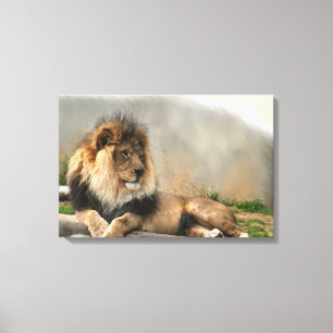 Lion Lovers King Of the Jungle Canvas Print