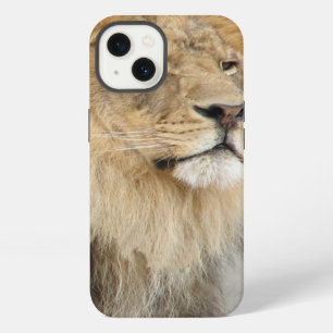 Lion Lovers King of the Jungle iPhone 13 Case