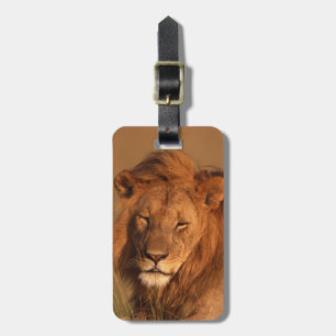 Lion Luggage Tag