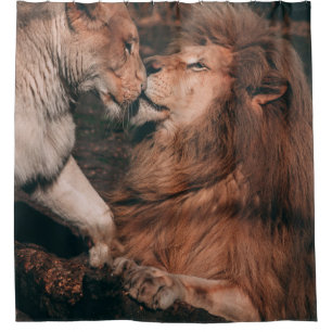 LION LYING ON BROWN ROCK