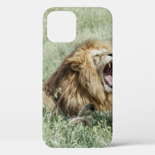 LION LYING ON GREEN GRASS DURING DAYTIME iPhone 12 CASE