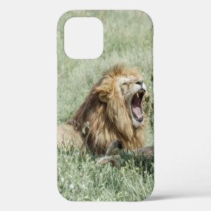LION LYING ON GREEN GRASS DURING DAYTIME iPhone 12 CASE