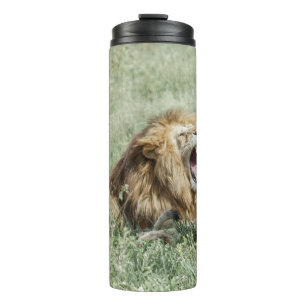 LION LYING ON GREEN GRASS DURING DAYTIME THERMAL TUMBLER