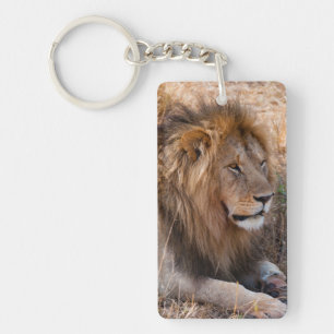 Lion Maasai Mara National Reserve, Kenya Keychain