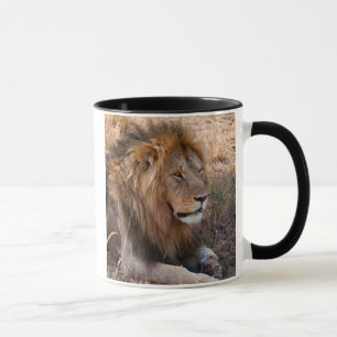 Lion Maasai Mara National Reserve, Kenya Mug
