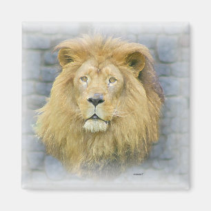 lion magnet