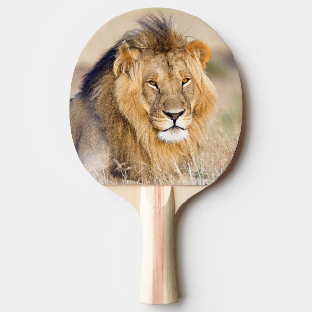 Lion majestic wild animal portrait ping pong paddle (Front)
