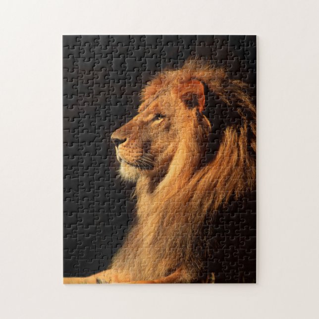 Lion masculin africain ; Puzzles de faune par (Vertical)