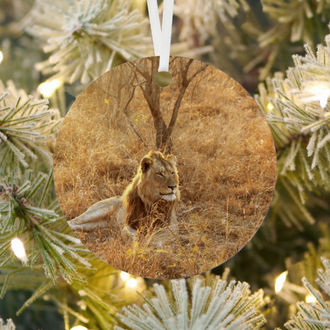 Lion Metal Ornament (Insitu)