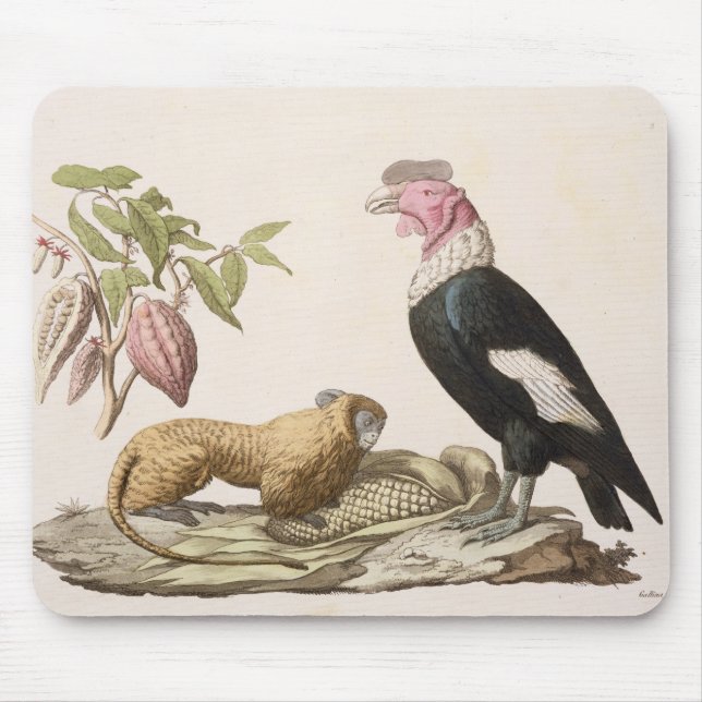 Lion monkey and condor, native to Chile or Ecuador Mouse Pad (Front)
