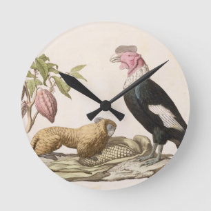 Lion monkey and condor, native to Chile or Ecuador Round Clock