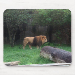 Lion Mouse Pad