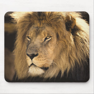 Lion Mouse Pad