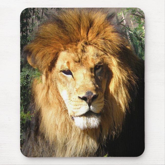 Lion Mouse Pad (Front)