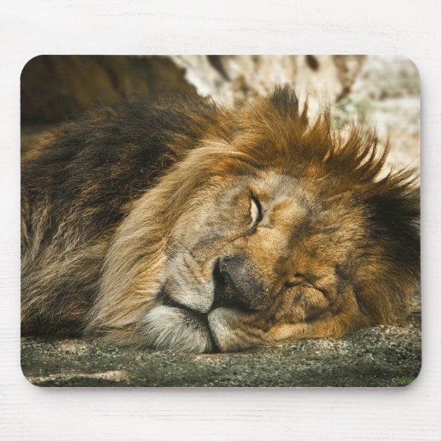 lion mouse pad (Front)