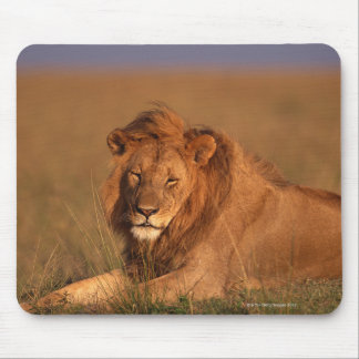 Lion Mouse Pad