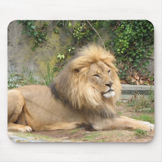 Lion Mouse Pad (Front)