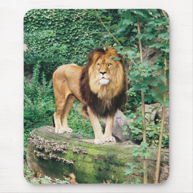 Lion Mousepad (Front)