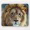 Lion Mousepad