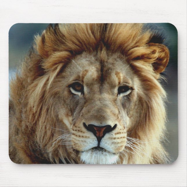 Lion Mousepad (Front)