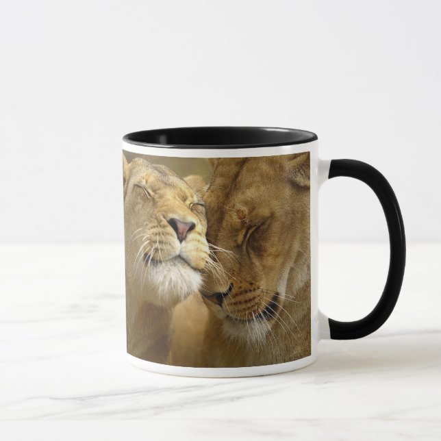 Lion Mugs (Droite)