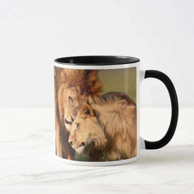 Lion Mugs (Right)