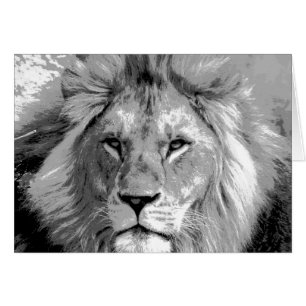 Lion noir blanc