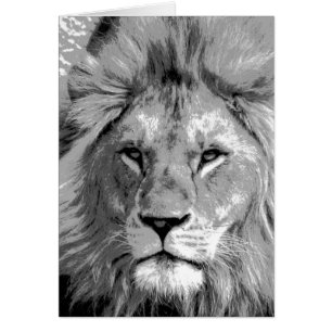 Lion noir blanc