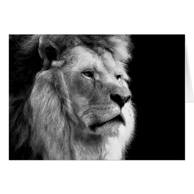 Lion noir blanc (Devant horizontal)
