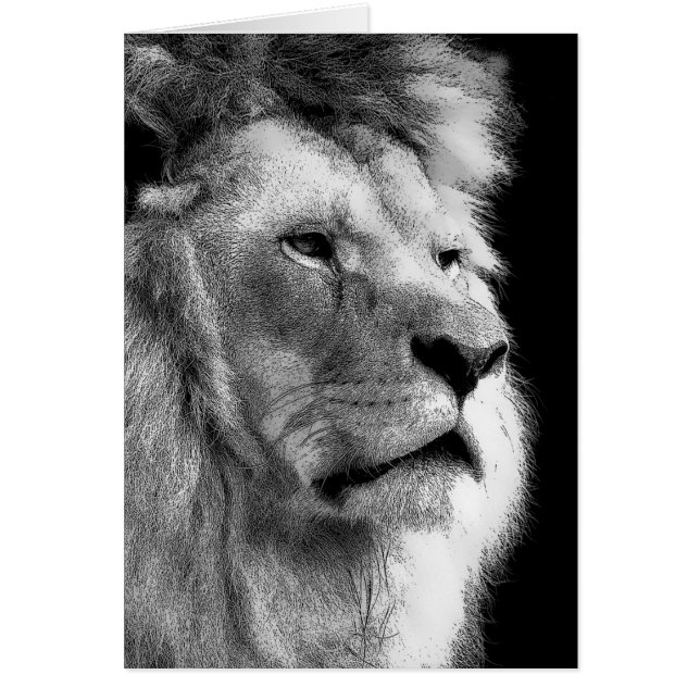 Lion noir blanc (Devant)