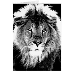 Lion noir et blanc