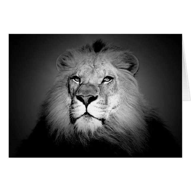 Lion noir et blanc (Devant horizontal)