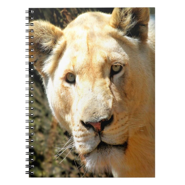 Lion Notebook (Front)