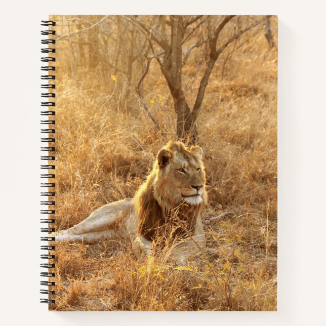 Lion Notebook (Front)