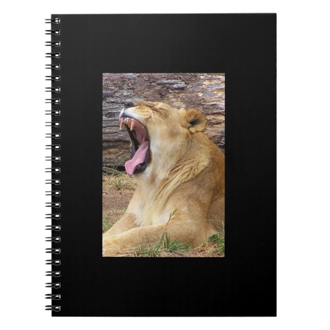 Lion Notebook (Front)