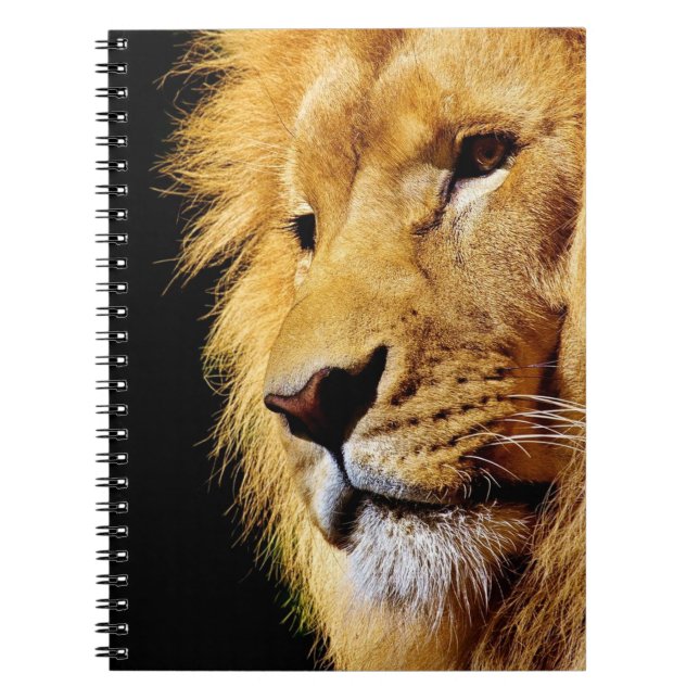 Lion Notebook (Front)