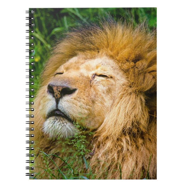 Lion Notebook (Front)