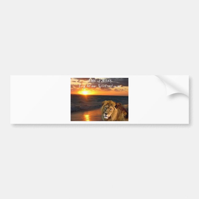 Lion of Judah Collection Bumper Sticker (Front)