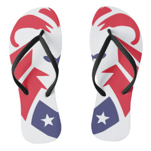 Lion of Patriots Flip Flops